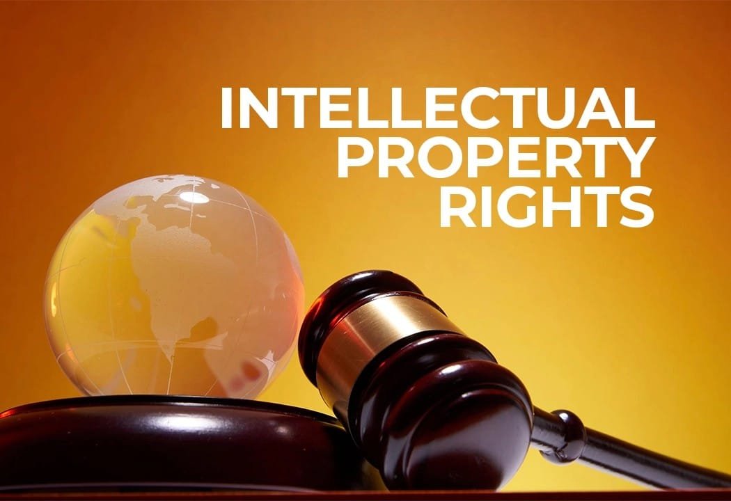 intellectual property right Intellectual property rights