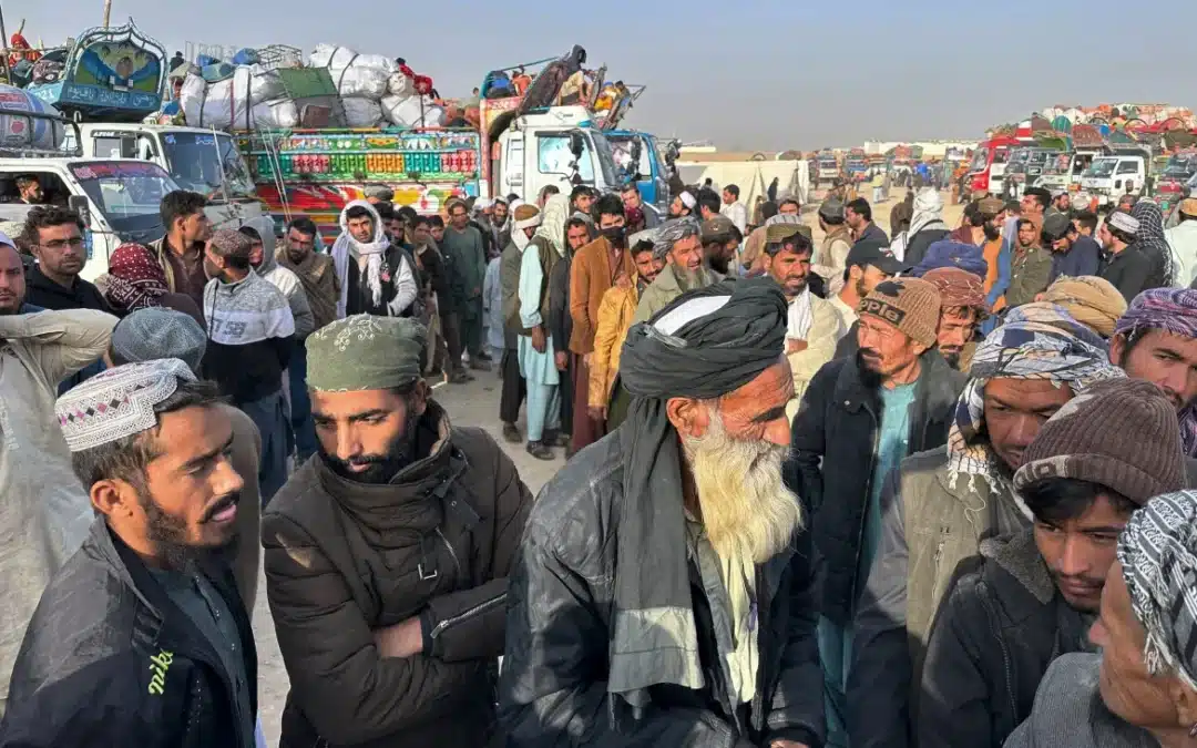 Pakistani Jails and Afghan Nationals: A Look into Cross-Border Criminal Cases