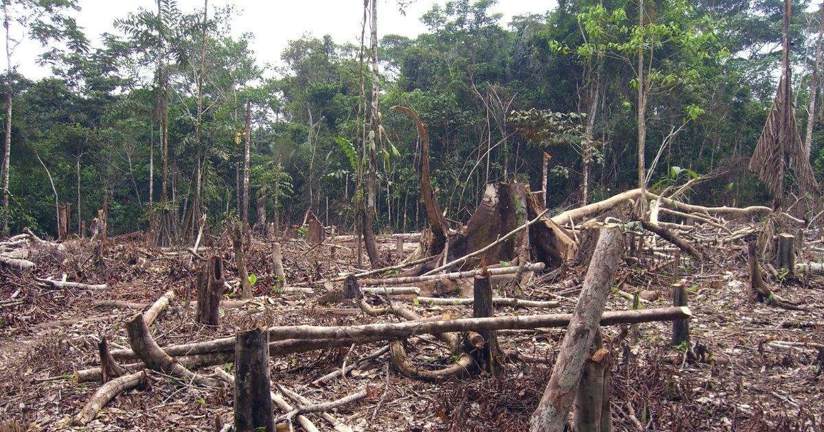Environmental Crimes in Pakistan