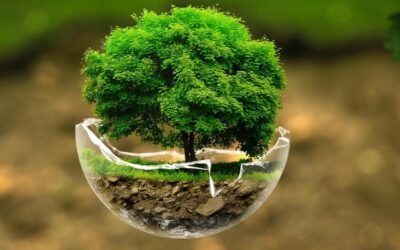 Green Pakistan or Empty Slogan? The Truth About Our Climate Plans” – inside afforestation and disaster-preparedness operations. 