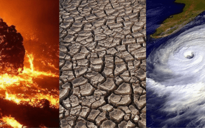 How Climate Change Is Reshaping Rural Traditions in Pakistan?
