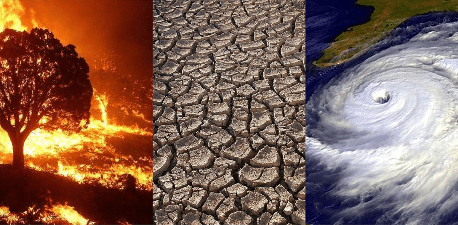 Different climates at different areas