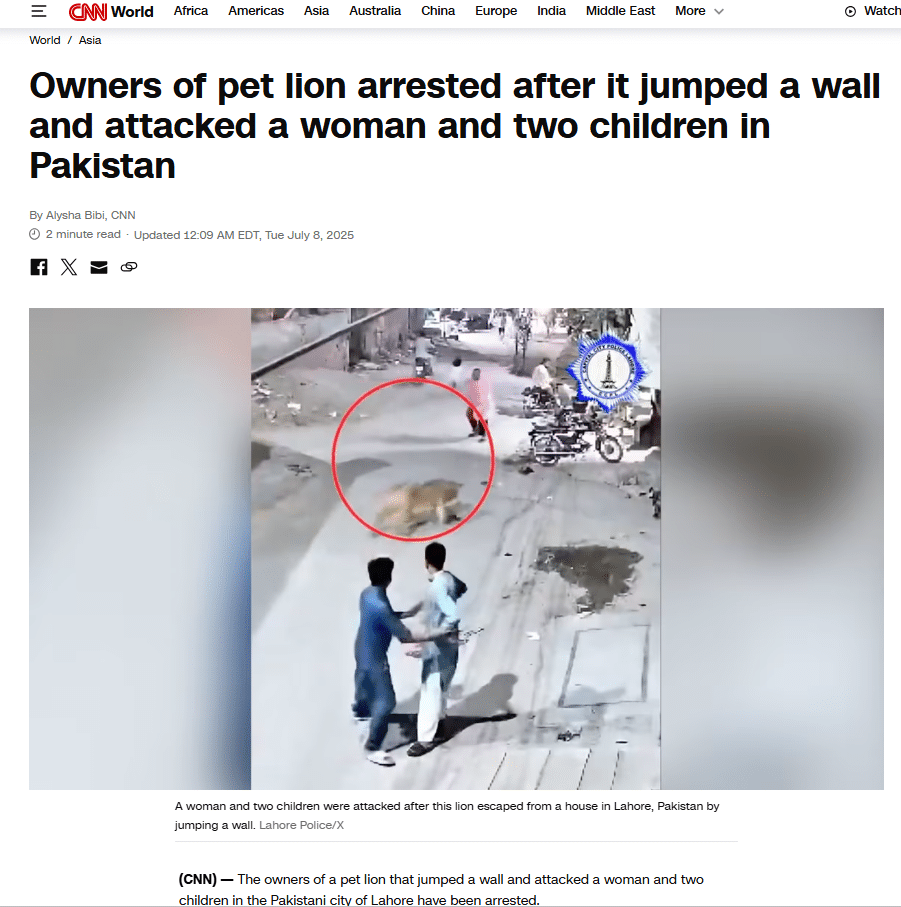 CNN’s report about arrest of pet lion in Lahore