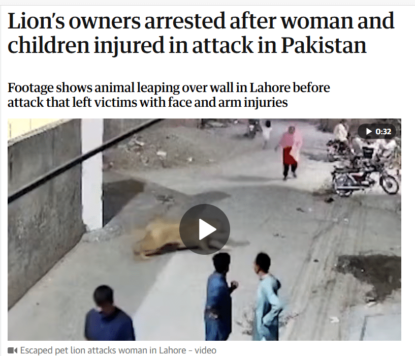News Article about injuring of woman and children by Lion and owner arresting