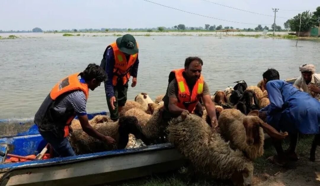 Ravi River Floods Put Shahdara on High Alert