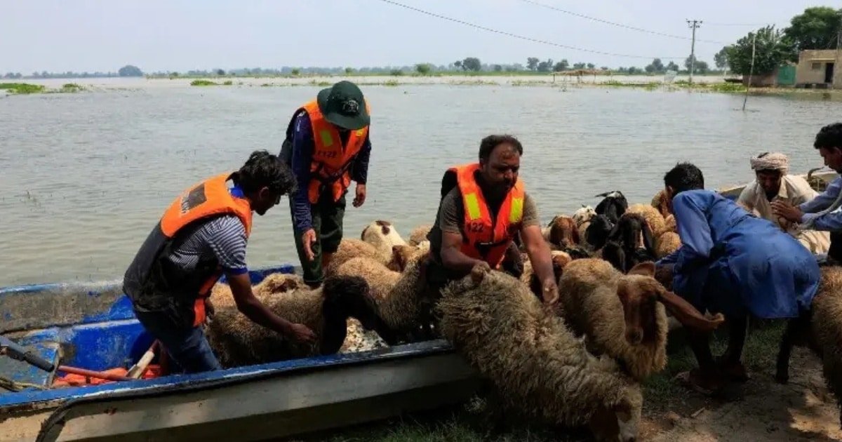 Flood Response at Ravi River (2)