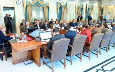Govt Announces Plan to Privatize 24 State-Owned Entities Over 5 Years