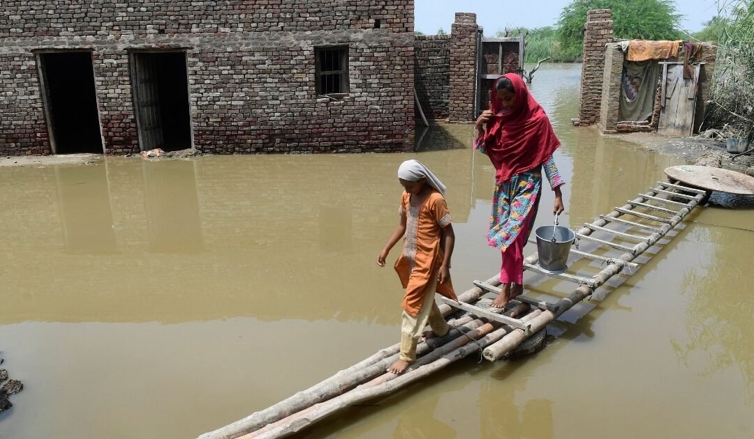 Punjab Floods Devastate Agriculture, Worst Crisis in Decades