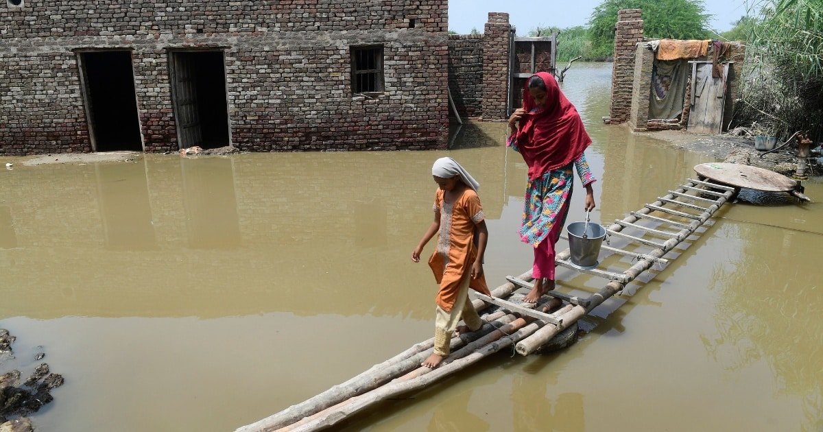 Punjab Floods Devastate Agriculture- Worst Crisis in Decades