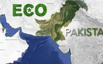 From SAARC to ECO: How Pakistan is Shifting the Axis of Regional Trade