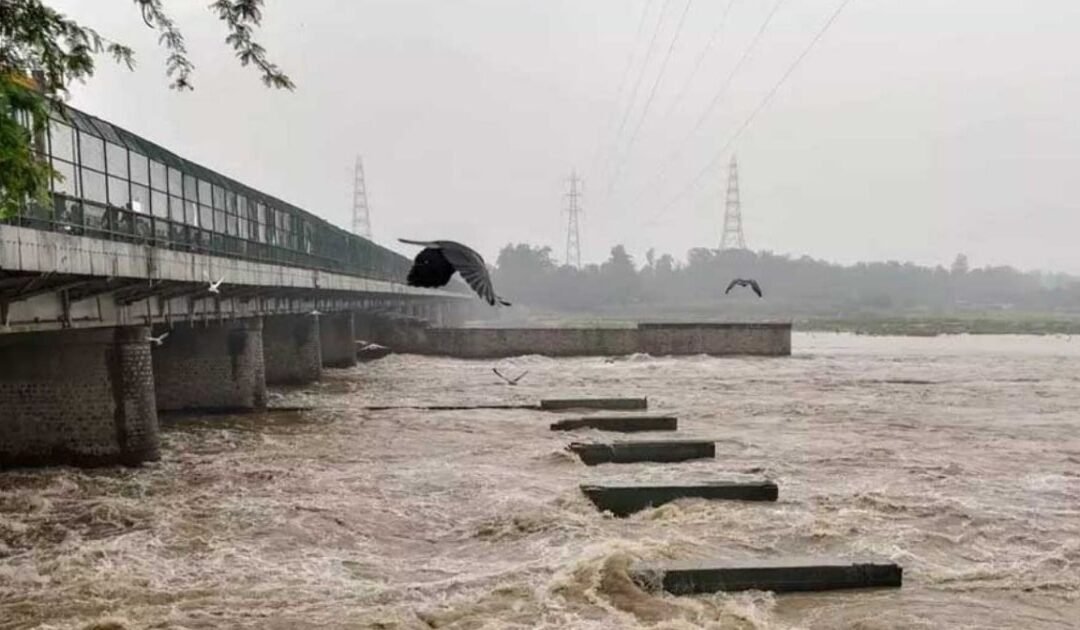 Sutlej River Flood Alert: Evacuations Underway in Punjab and Sindh after India Released Water