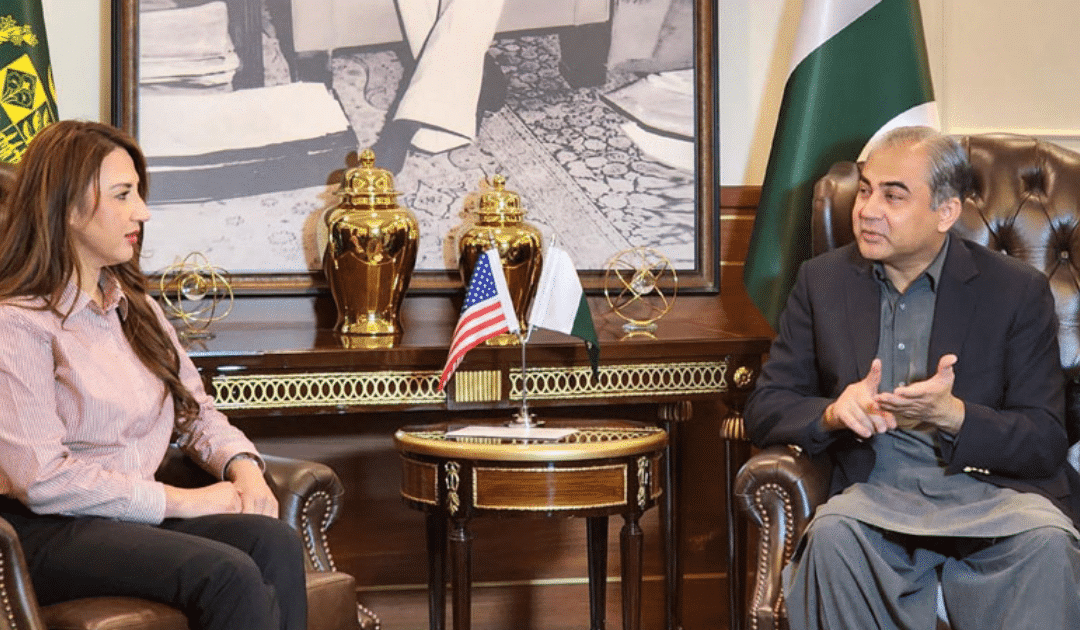 Interior Minister Mohsin Naqvi Meets U.S. Acting Ambassador Natalie Baker