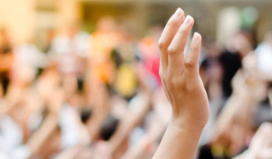 Beyond the Ballot: Can Citizens Shape Policy in the Digital Age?