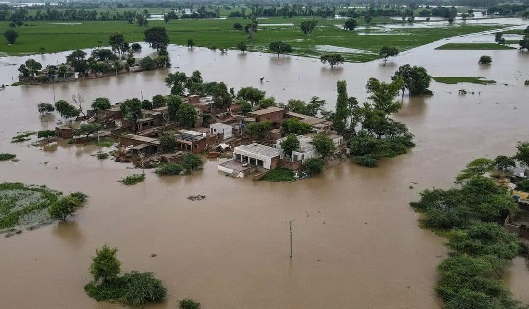 12 Days On, Sutlej Residents Still Stranded as Floodwater Persists