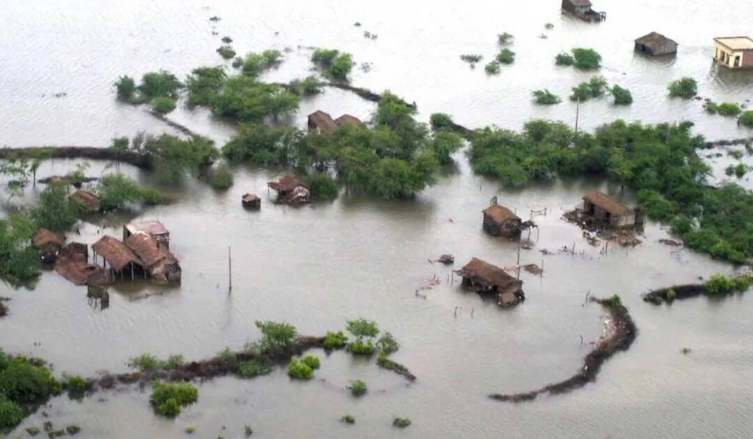 Floods Trigger Humanitarian Crisis in Punjab; Over 2.4 Million Displaced