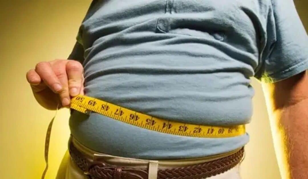 Health Experts Warn: Over 100 Million Pakistanis Now Overweight