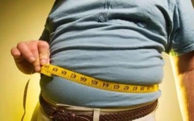 Health Experts Warn: Over 100 Million Pakistanis Now Overweight