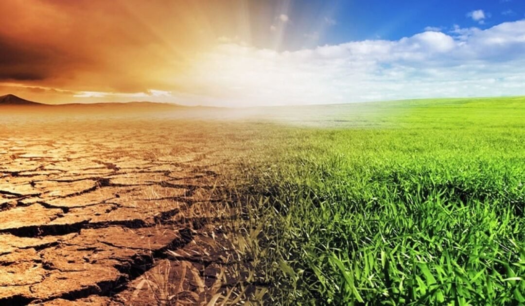 Impact of Global Warming on Agriculture in Pakistan