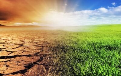Impact of Global Warming on Agriculture in Pakistan