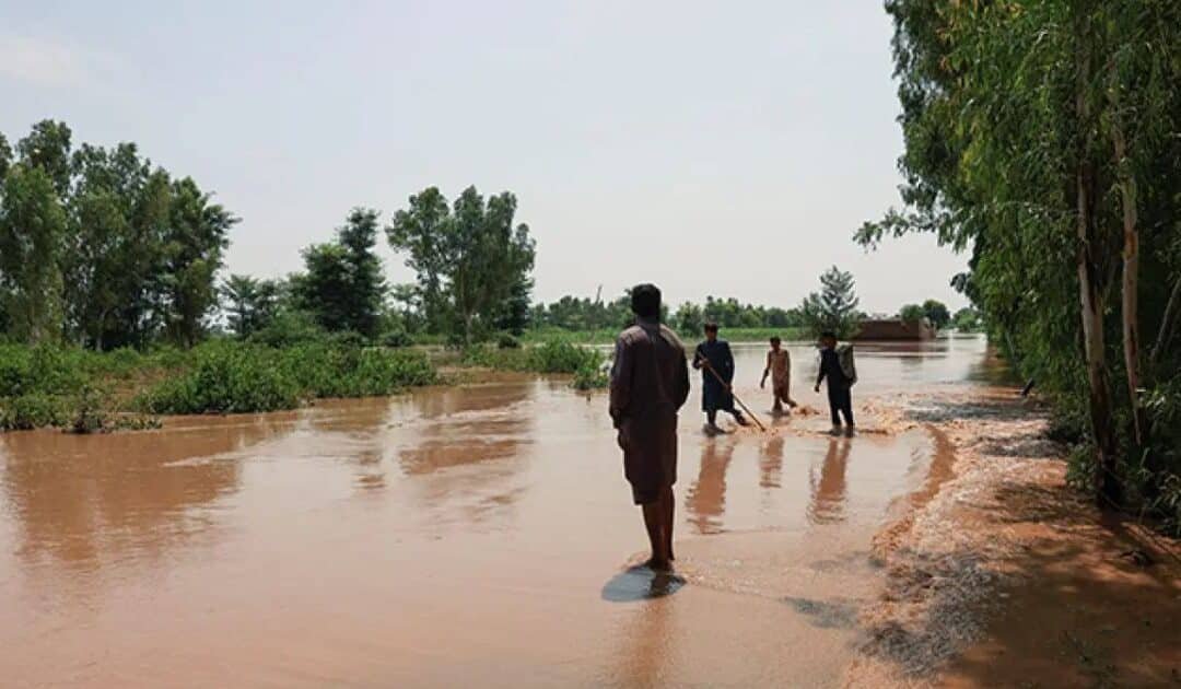 Multan at Risk as Chenab Floodwaters Enter Jalalpur Pirwala