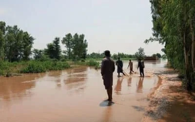 Multan at Risk as Chenab Floodwaters Enter Jalalpur Pirwala
