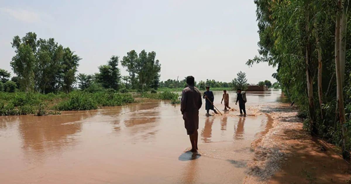 Multan at Risk as Chenab Floodwaters Enter Jalalpur Pirwala Multan at Risk as Chenab Floodwaters Enter Jalalpur Pirwala