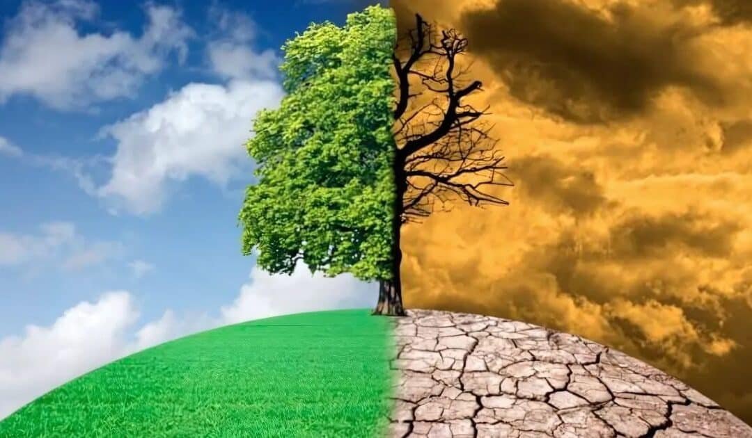 World Bank Report Warns of Looming Environmental Crisis