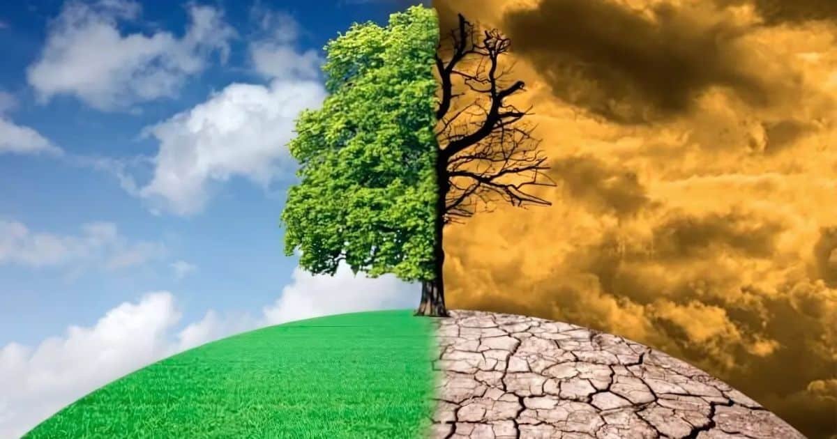 World Bank Report Warns of Looming Environmental Crisis