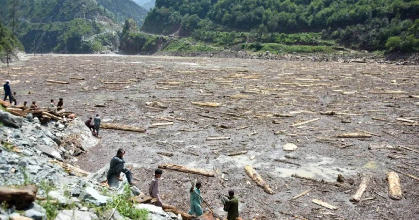 Timber floating floodwaters