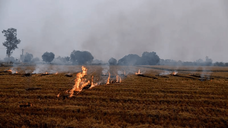 Burning crops