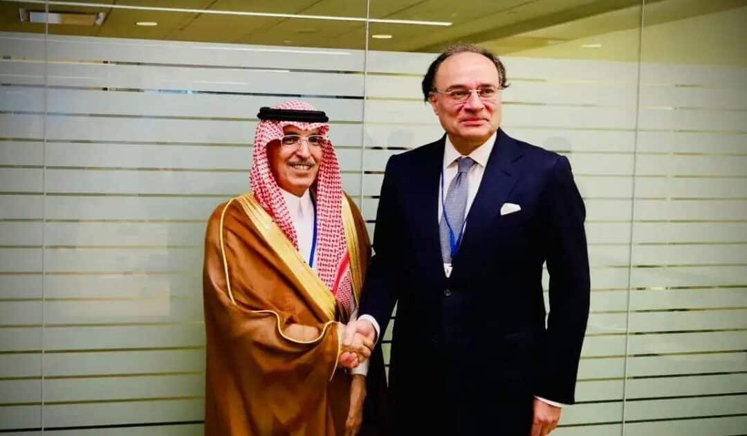 Aurangzeb Meets Saudi Finance Minister, Briefs Him on PIA and Airport Privatisation
