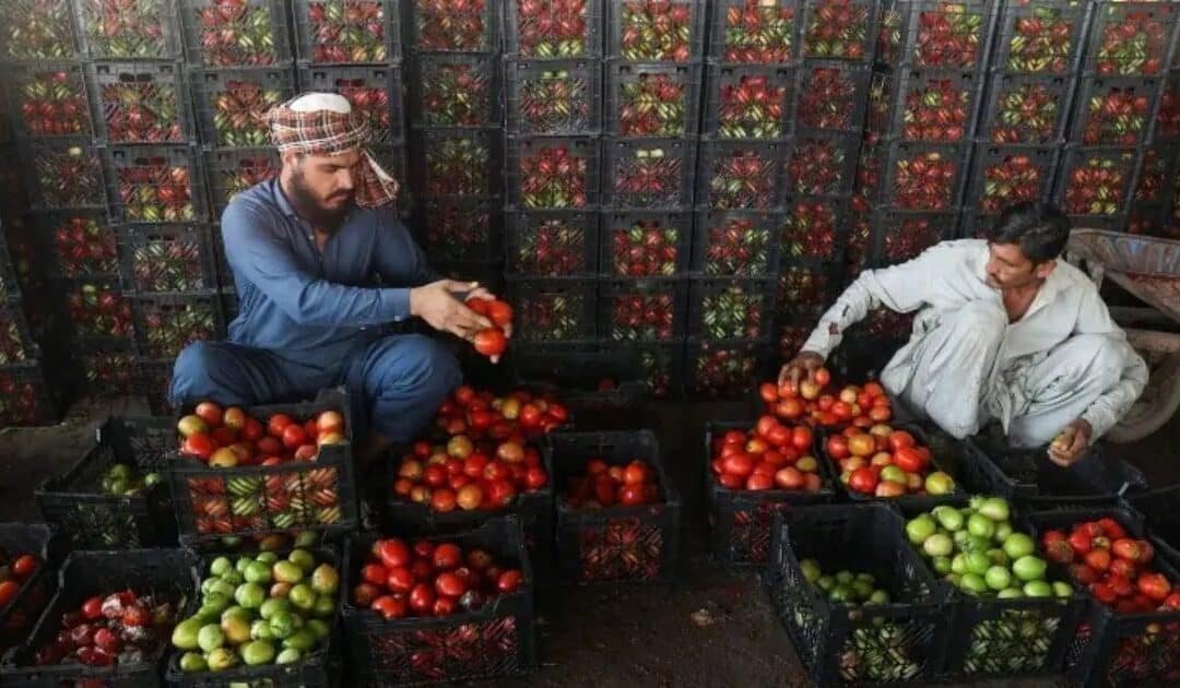 Pakistan-Afghanistan Border Closures Drive Up Prices of Essential Goods