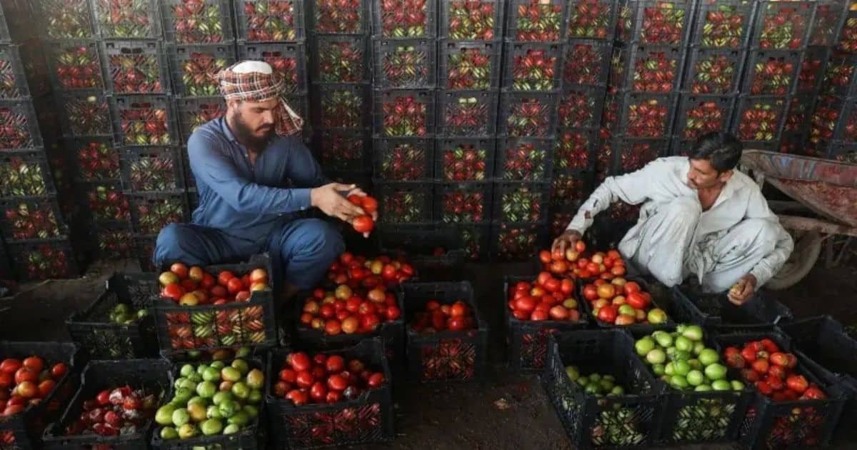 Pakistan-Afghanistan Border Closures Drive Up Prices of Essential Goods