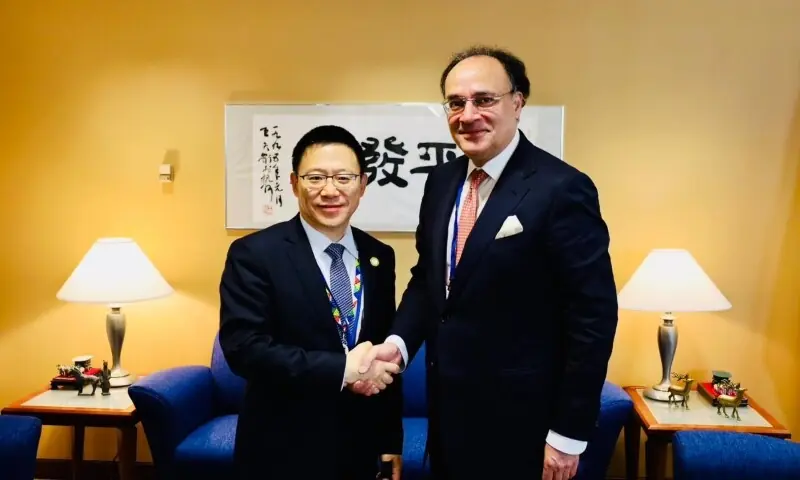 Pakistan Eyes Chinese Market with Upcoming Panda Bond Issuance
