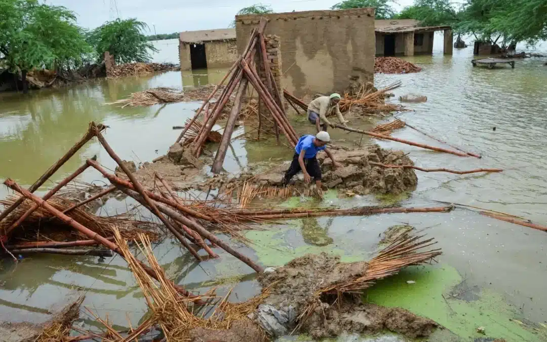 Pakistan Received Just $600m in Aid After 2022 Floods, Will Self-Fund New Recovery: Ahsan Iqbal
