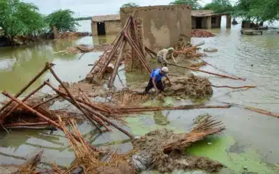 Pakistan Received Just $600m in Aid After 2022 Floods, Will Self-Fund New Recovery: Ahsan Iqbal