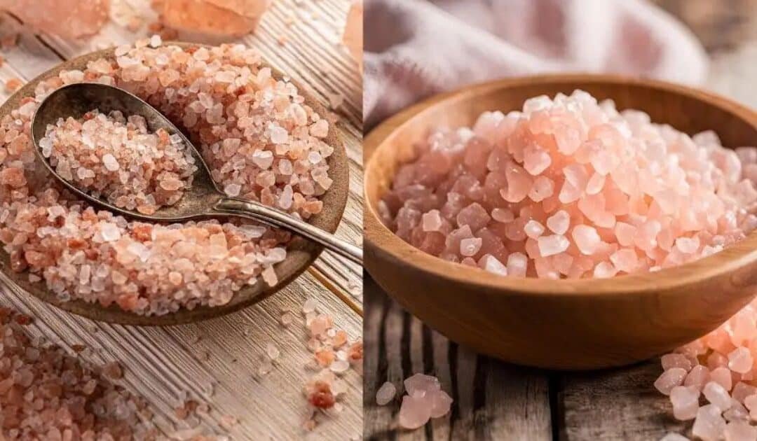Pakistan’s Pink Salt Shines at Global Agritech Summit