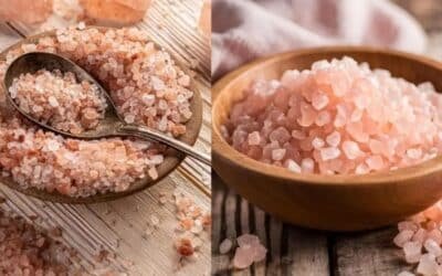 Pakistan’s Pink Salt Shines at Global Agritech Summit