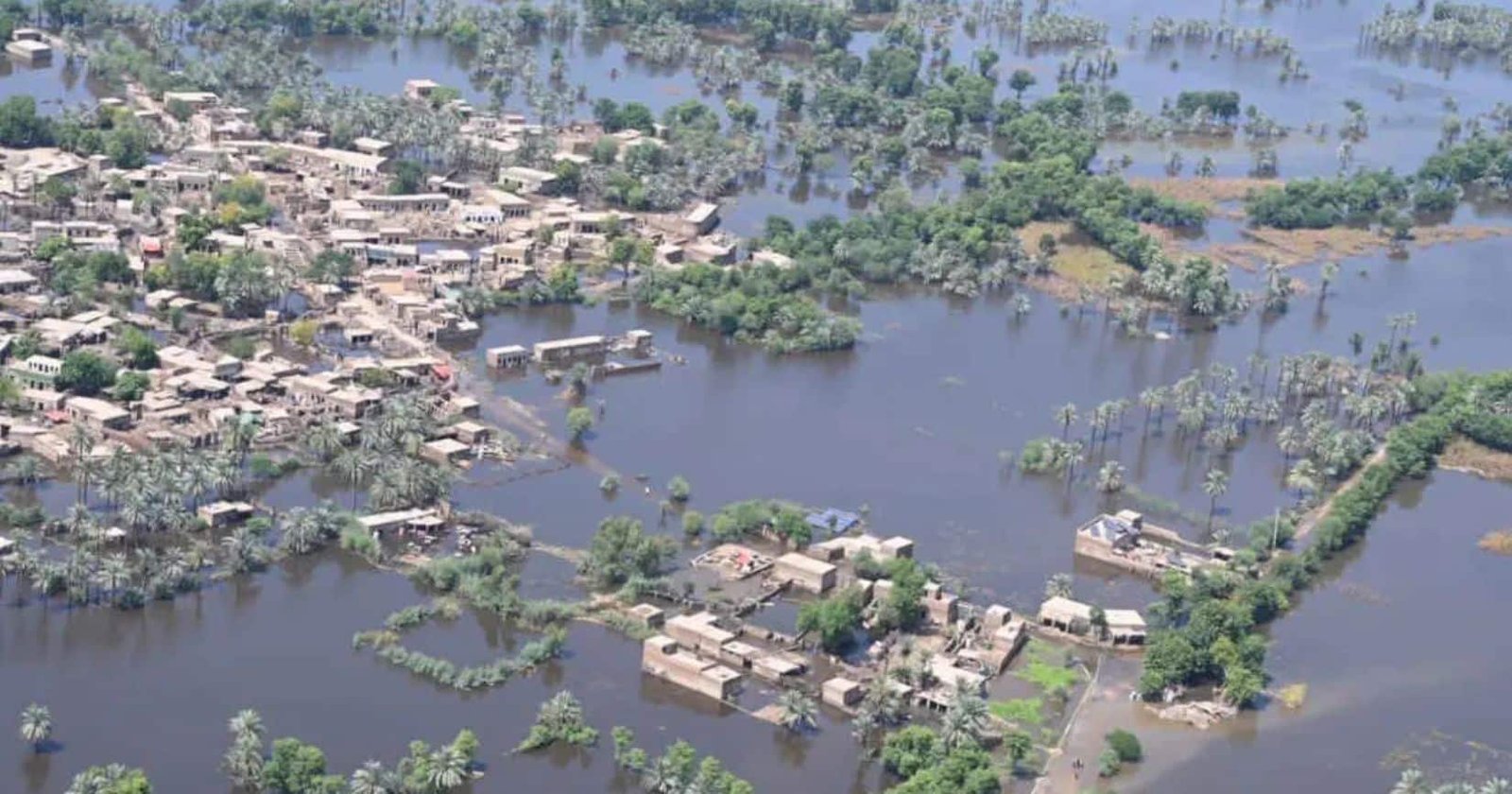 Punjab Distributes Rs6.39bn to Flood Victims Under CM Rehabilitation Programme