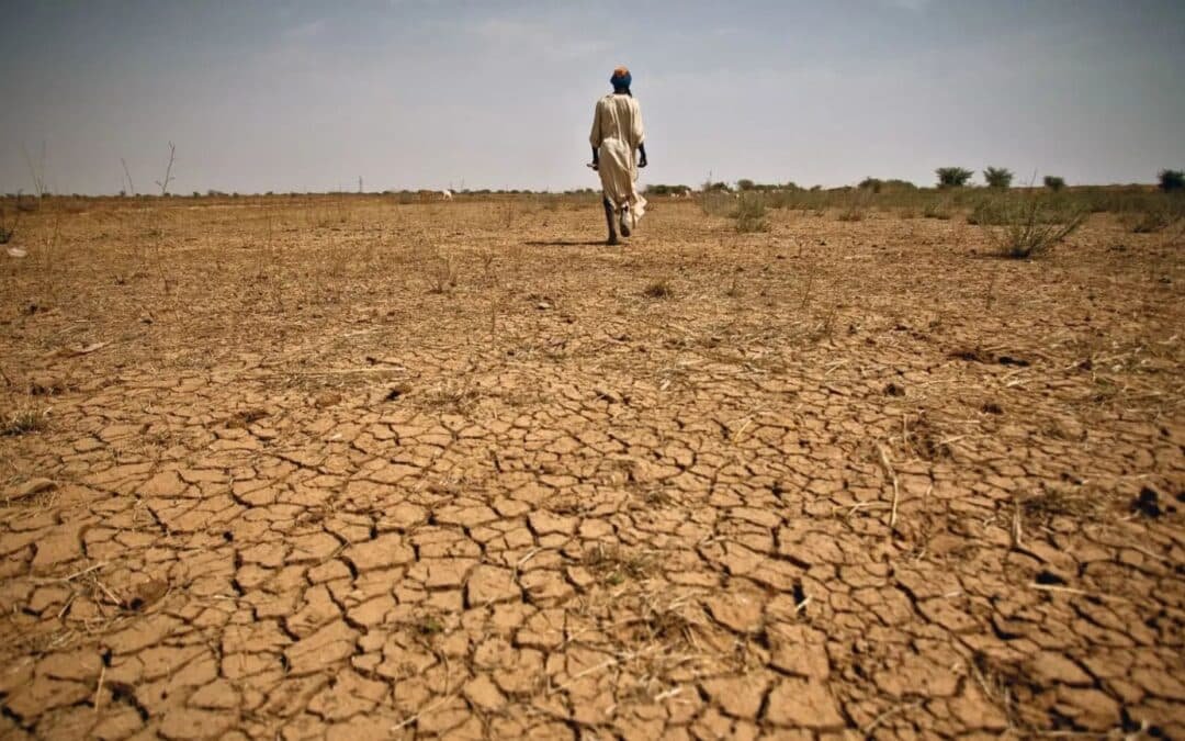 Twelve Balochistan Districts Placed Under Drought Watch, PMD Warns of Worsening Dry Spell
