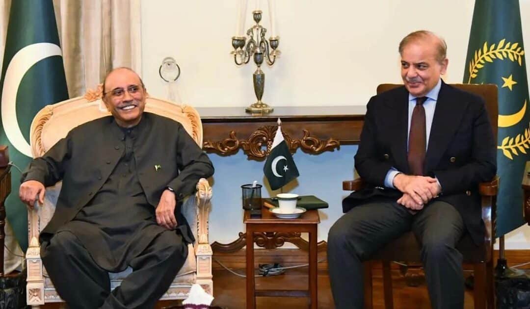 Zardari, Shehbaz Meeting – Agree to Continue Political Consultations