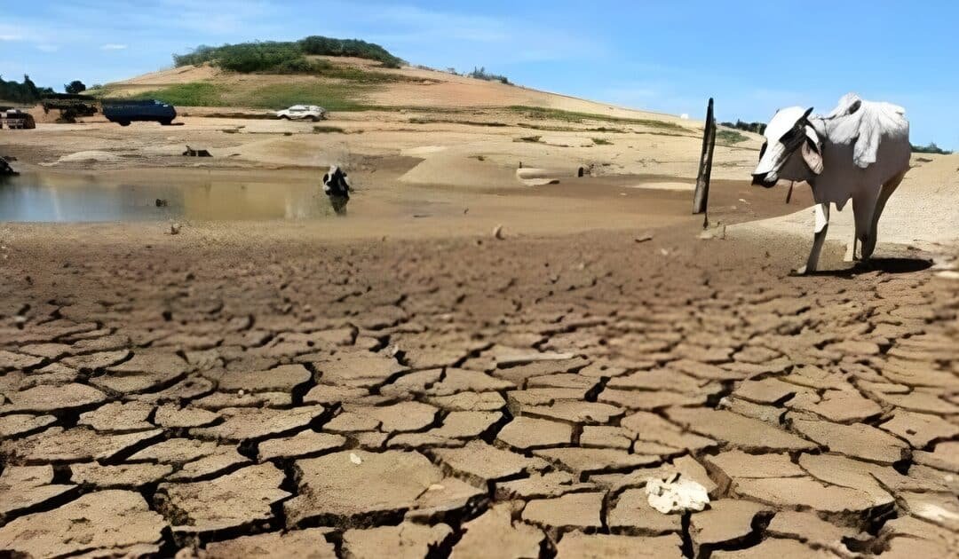 ADB Pumps Extra $48 Million into Balochistan Water Crisis – Lifeline for Farmers