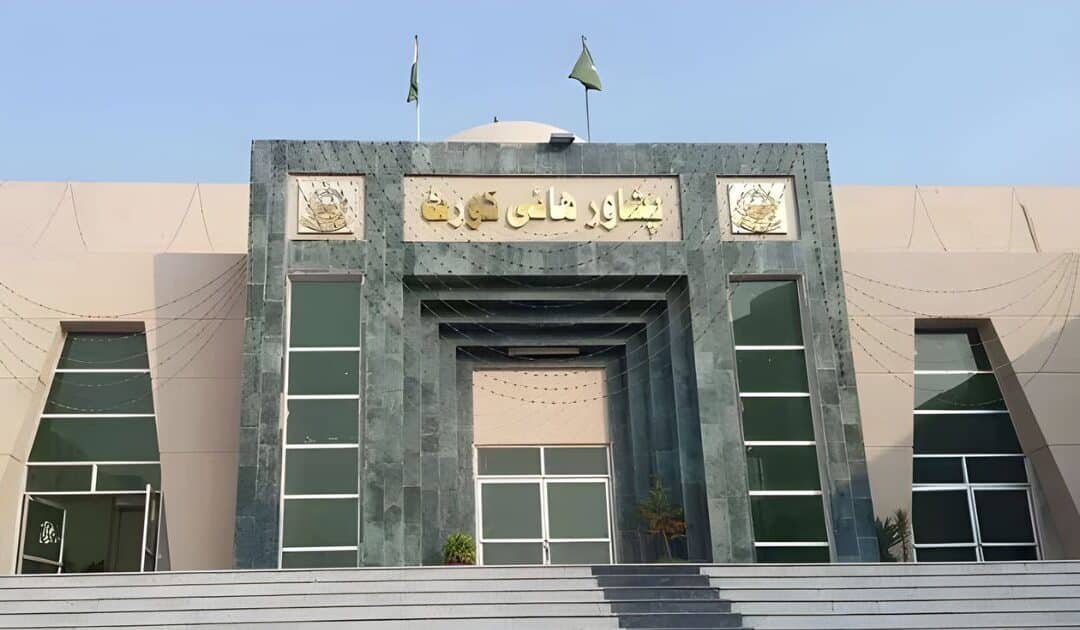 ANP-Backed Lawyers Lead in KP Bar Council Elections: Provisional Results