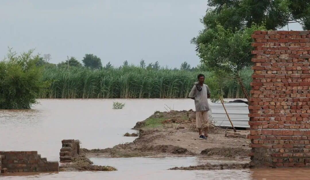 Disasters Cause $3.26tr Hit to Global Agriculture Over Three Decades: FAO