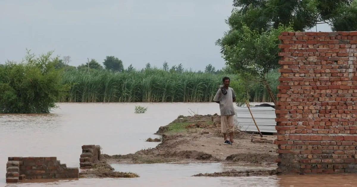 Disasters Cause $3.26tr Hit to Global Agriculture Over Three Decades FAO