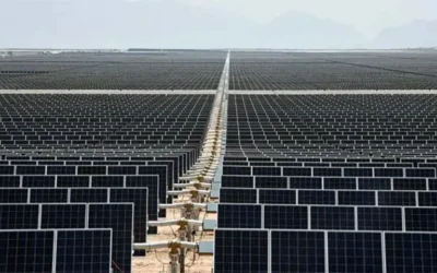 Govt says rooftop solar ‘not hurting’ grid, CPPA tells Nepra