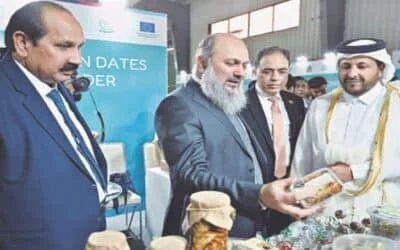 Govt ‘Striving’ to Reduce Power Tariffs for Industry, Says Commerce Minister