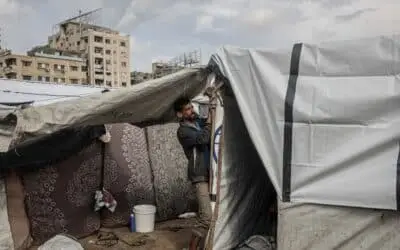 Islamabad, Regional Allies Back US-Led UN Resolution on Gaza Peace
