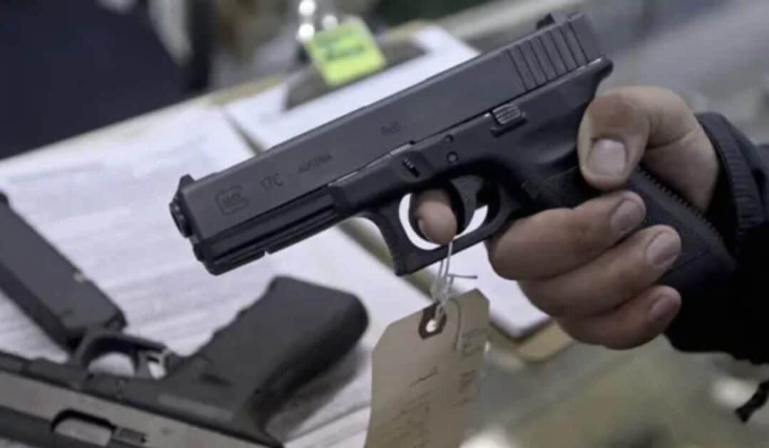 Punjab Halts Renewal, Computerisation of Manual Arms Licences Ahead of De-weaponisation Drive