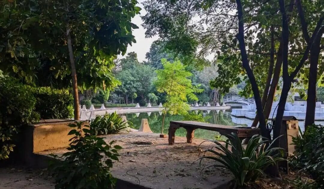 Save Nasir Bagh, Save Lahore